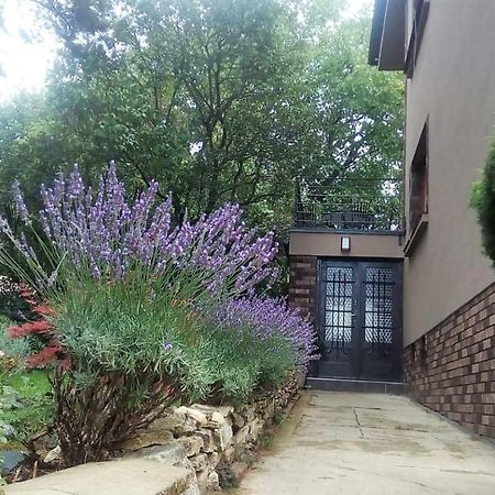 Apartman V Zahrade Praha Troja - Apartment In The Garden Prague Troja מראה חיצוני תמונה